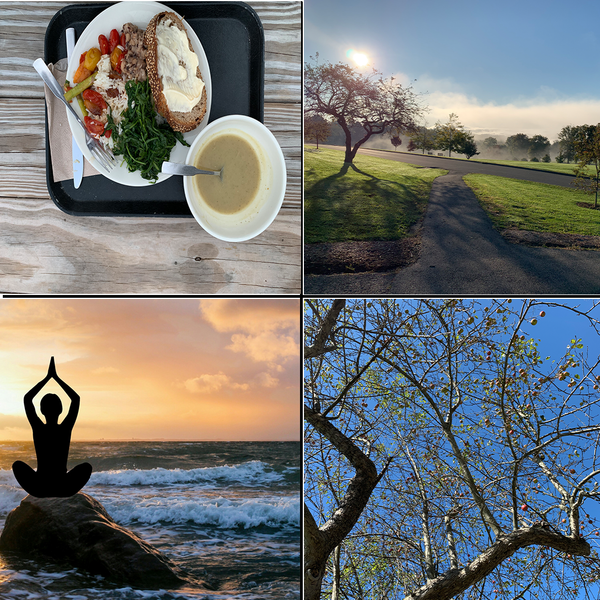 How Aryuveda Strengthened My Connection to Wellness