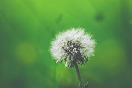 3 Ways to Manage Your Allergies