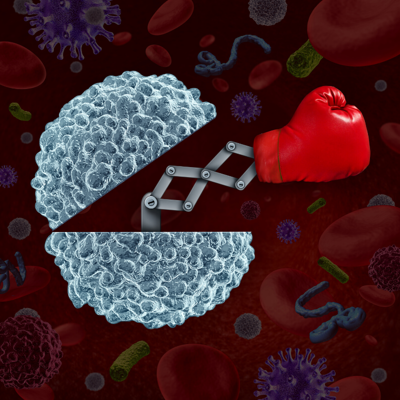 How to Protect Your Immune System