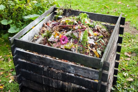 Want to start composting in 2020? Here’s What You Need to Know.