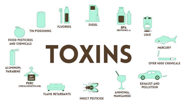 Why I chose to get rid of harmful products out of my life